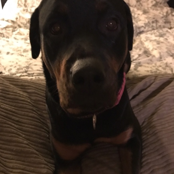 Meet your Posher, Chrissy - Picture 4 of 5